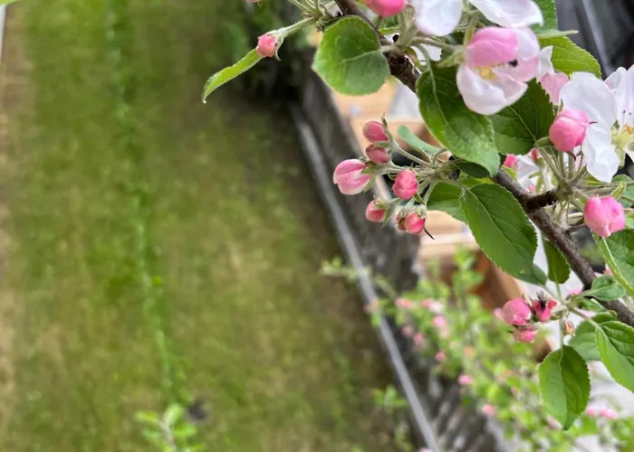 Dahuam In Mit Balkoniterrasse Apartamento Gerlos